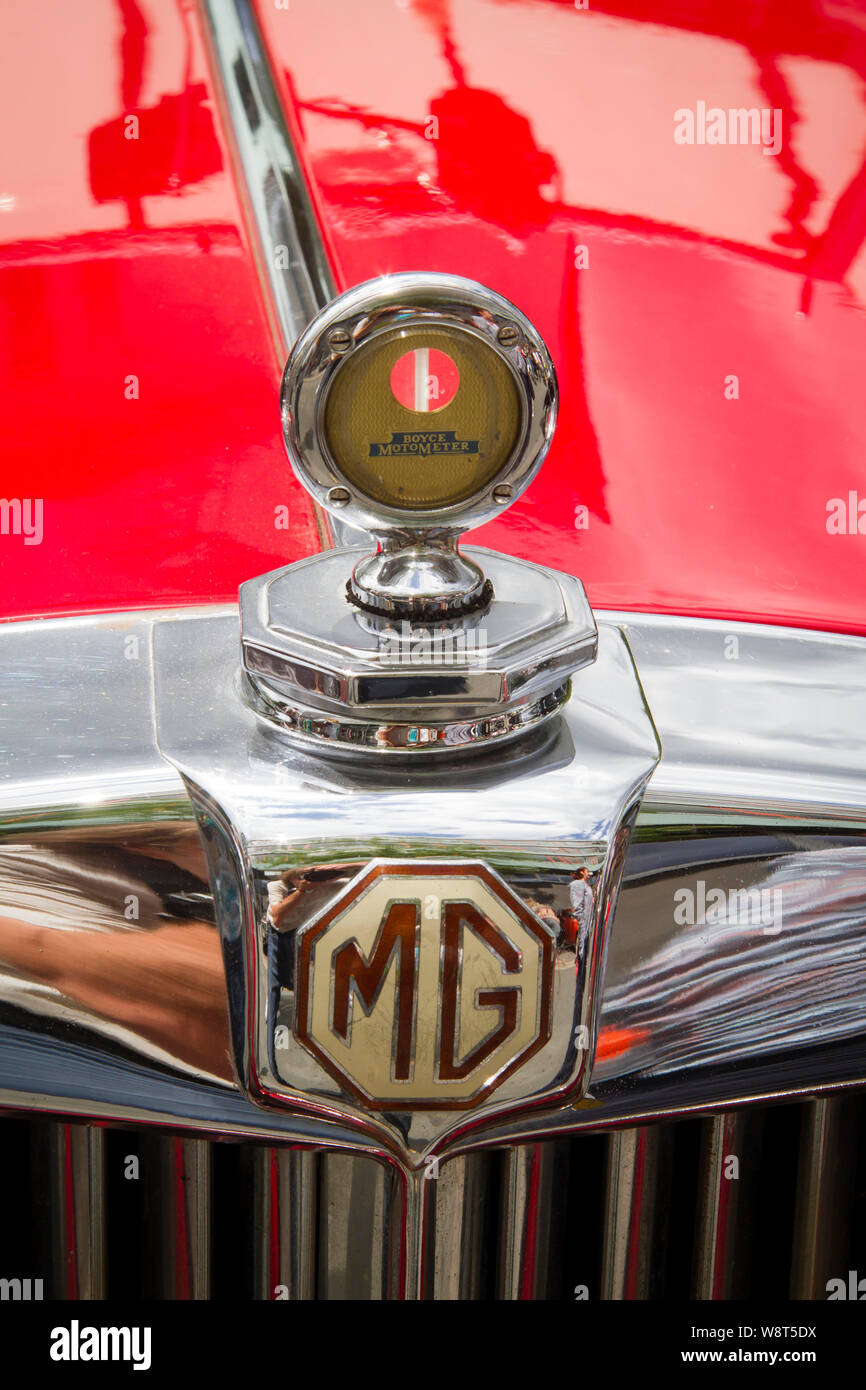 Motometer di MG TC dal 1940s, Germania. Motometer eines MG TC aus den 1940er Jahren, Deutschland. Foto Stock