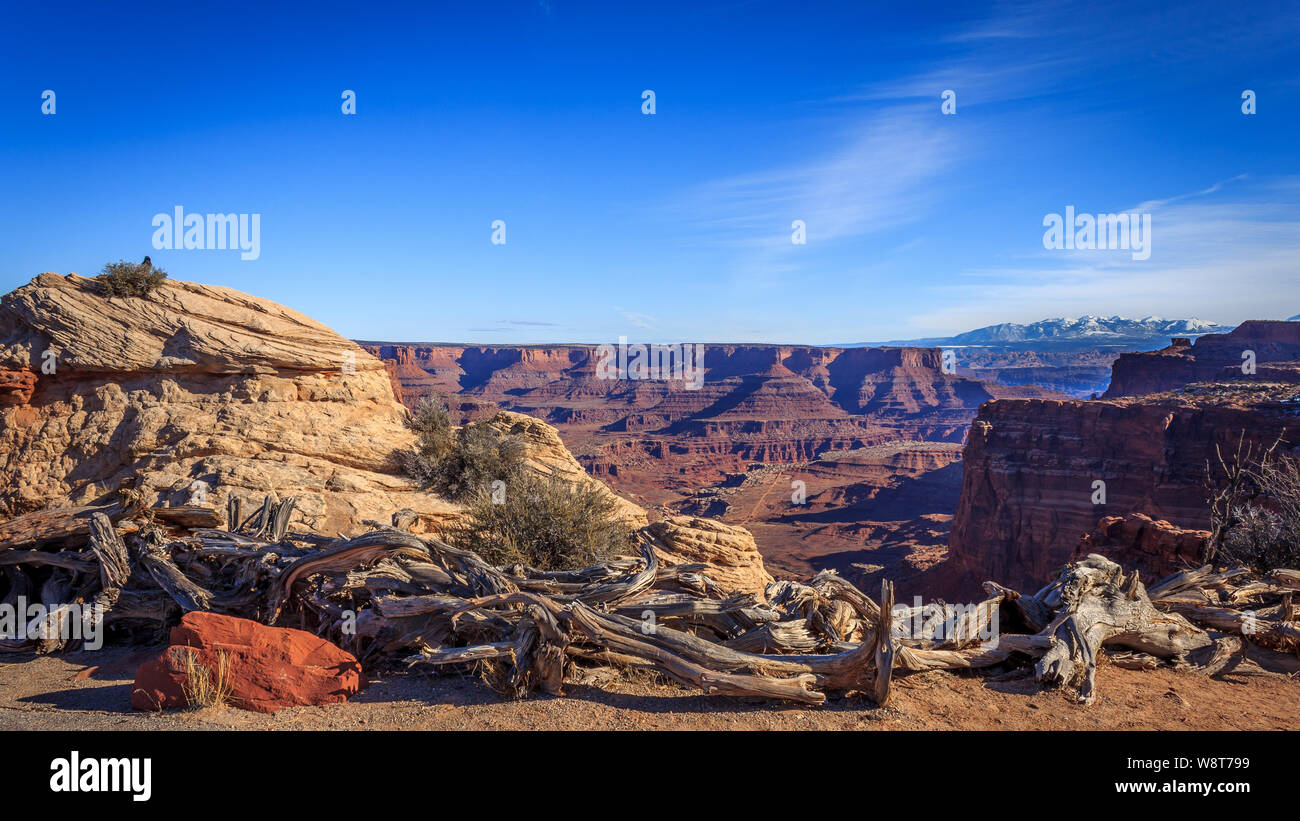 Una vista dal Parco Nazionale di Canyonlands, Utah, Stati Uniti d'America Foto Stock