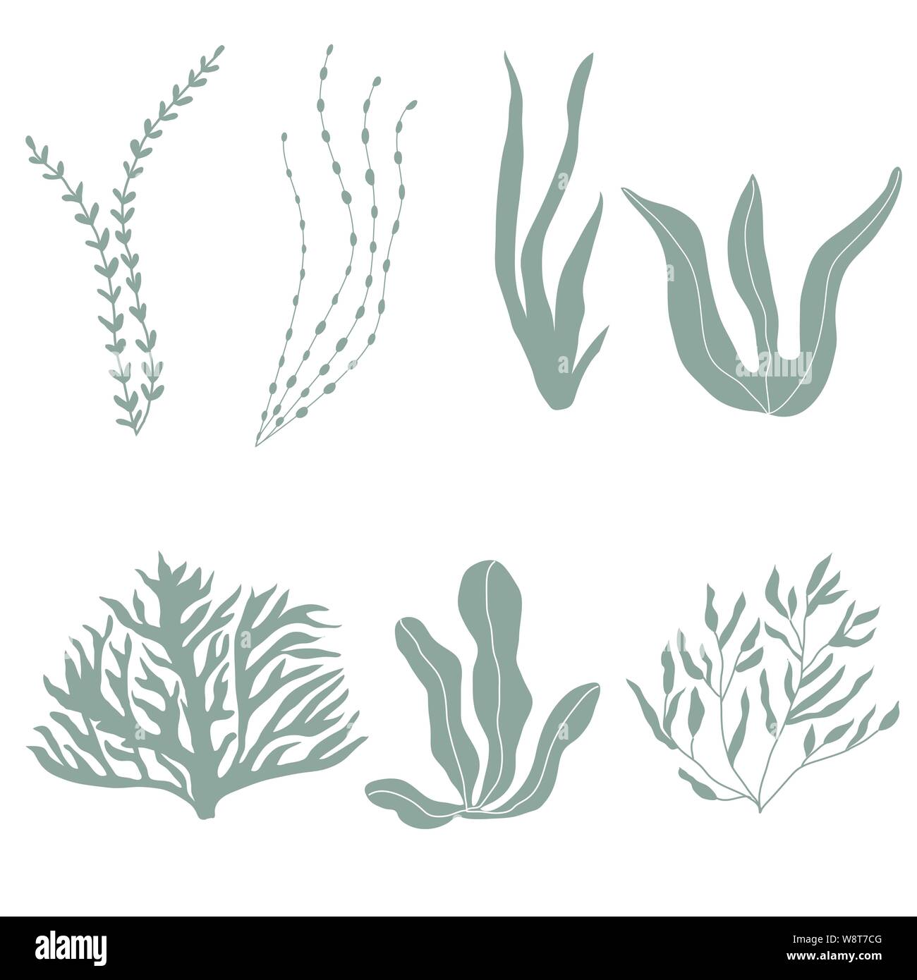 Raccolta di seaplants subacquea e coralli, impostato con piante marine per tessuto, tessuto, carta da parati, nursery decor, stampe, sfondo infantile. Vect Illustrazione Vettoriale