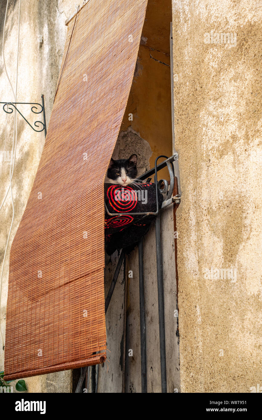 Assonnato gatto in una casa ombreggiata balcone nel villaggio francese Foto Stock