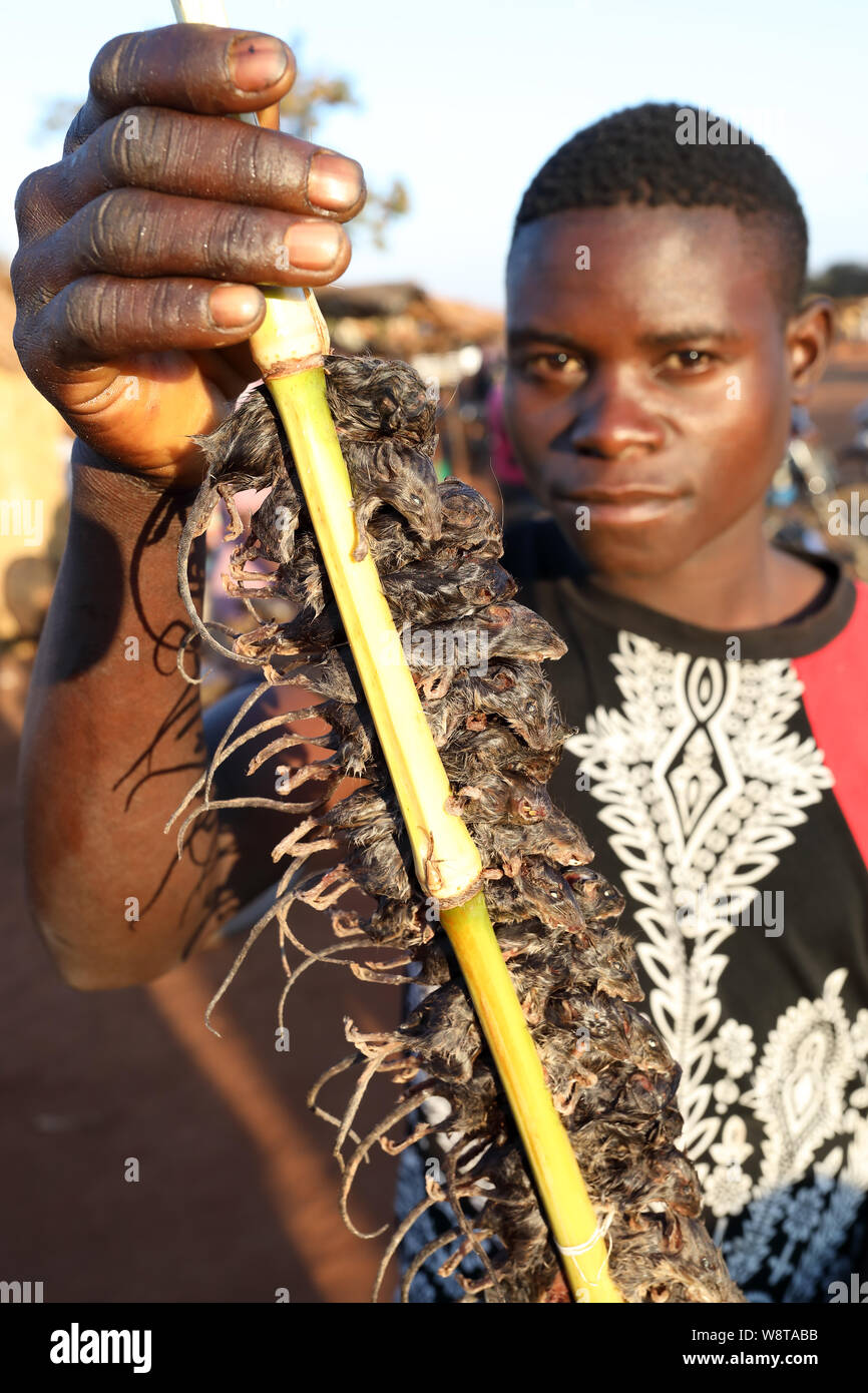 Fornitore del mercato vende i topi su un mercato in un remoto villaggio nei pressi di Dedza. Il Malawi è uno dei paesi più poveri del mondo. Foto Stock