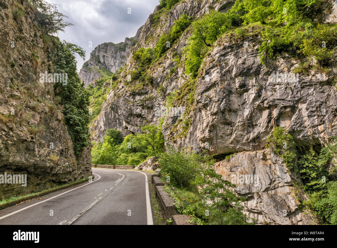 Desfiladero de Beyos (Los Beyos contaminano), Picos de Europa, ponga parco naturale, Asturias, Spagna Foto Stock