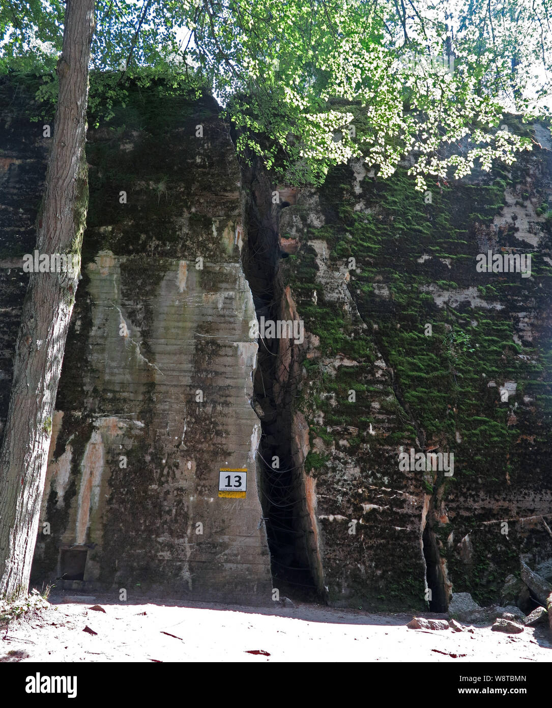 Bunker rimane dell'ex Fuehrer sede 'Wolfsschanze' in polacco Masurian (ex Ostpreussen) - ex bunker di Adolf Hitler, registrati su 15.07.2019 | Utilizzo di tutto il mondo Foto Stock