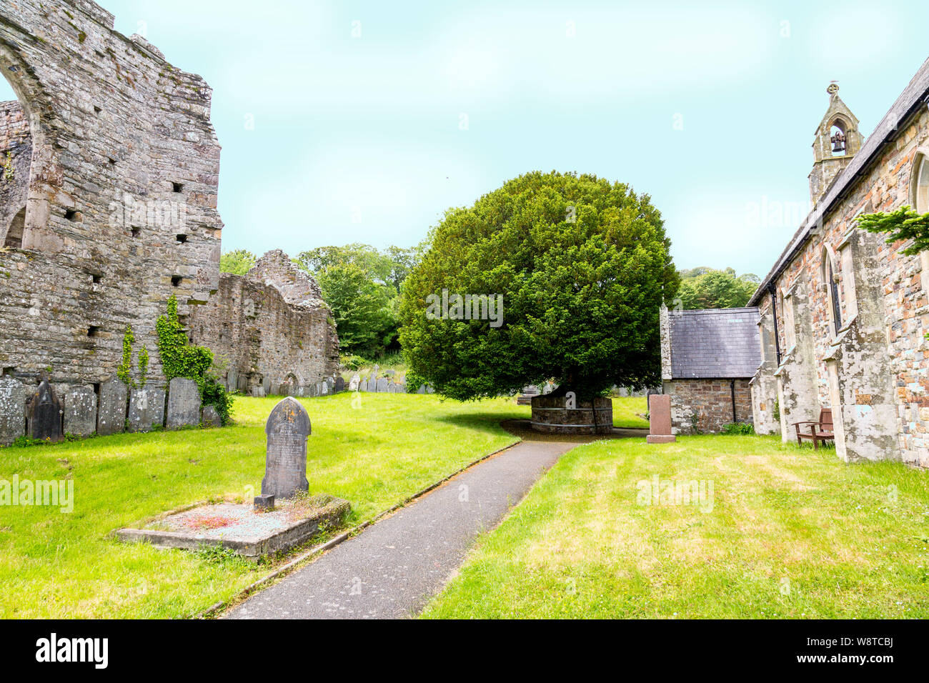San Tommaso Apostolo chiesa è situata tra le rovine del XII secolo St Dogmaels Abbey, vicino Cardigan, Pembrokeshire, Wales, Regno Unito Foto Stock