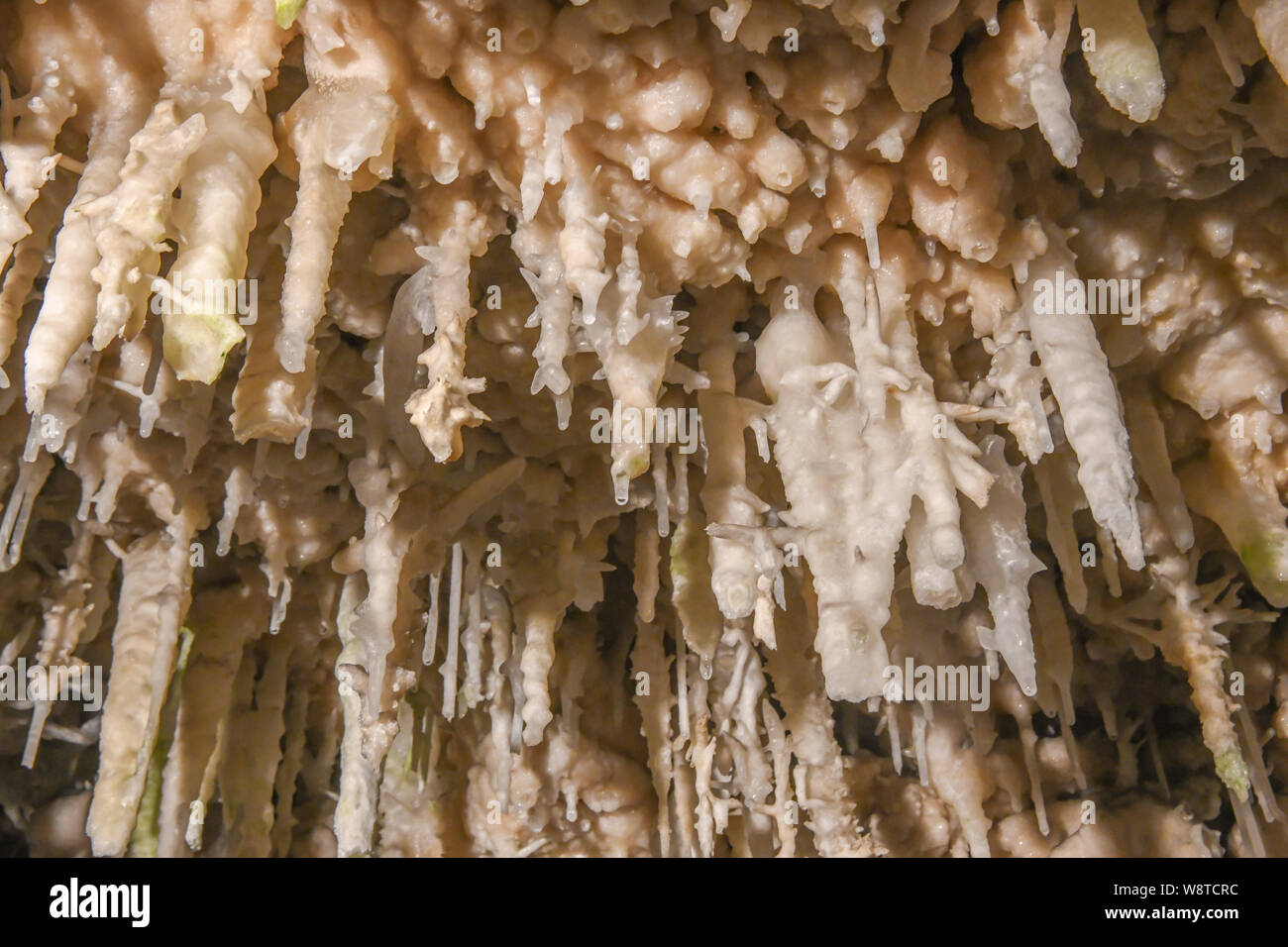 La Grotta dei Cristalli Bermuda - attrazione turistica in Hamilton Bermuda - acqua cristallina & lago sotterraneo - calcare stalattiti e stalagmiti Foto Stock