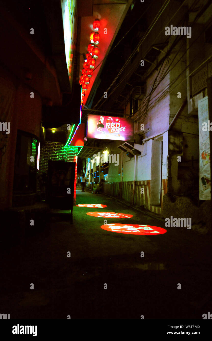 Vita notturna, Puerto Galera, Filippine Foto Stock