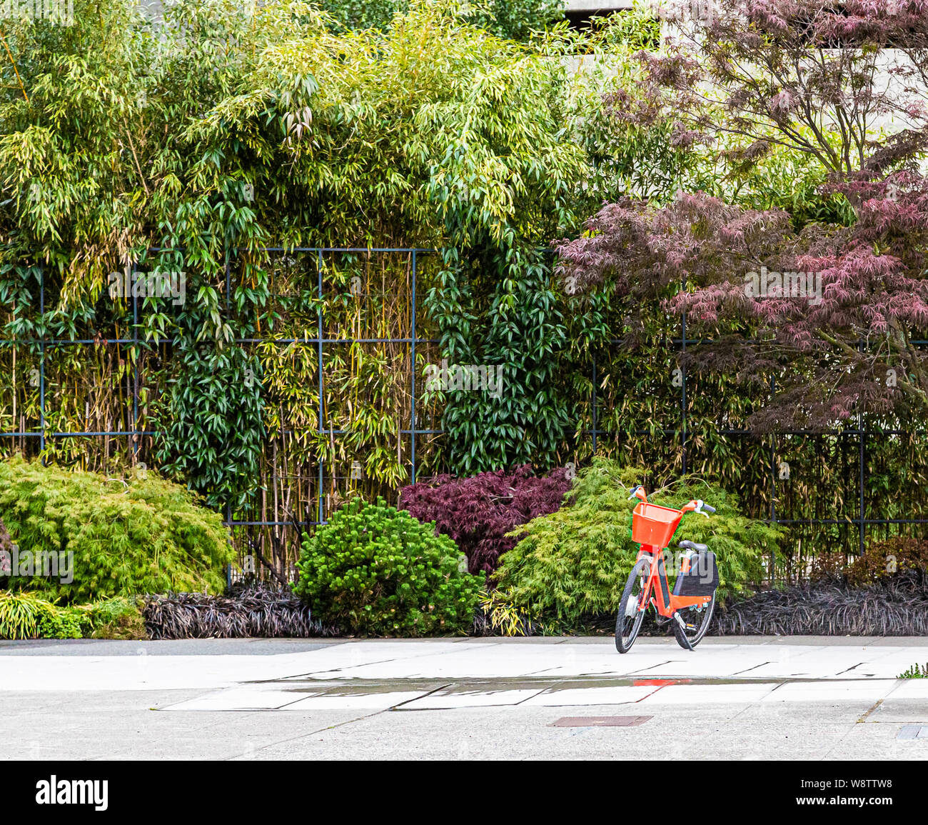 Orange Bike da verdi e alberi rossi Foto Stock