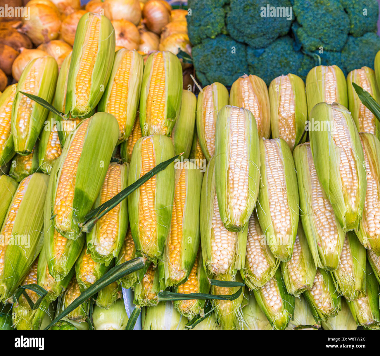 Giallo e Bianco mais in un mercato ortofrutticolo Foto Stock