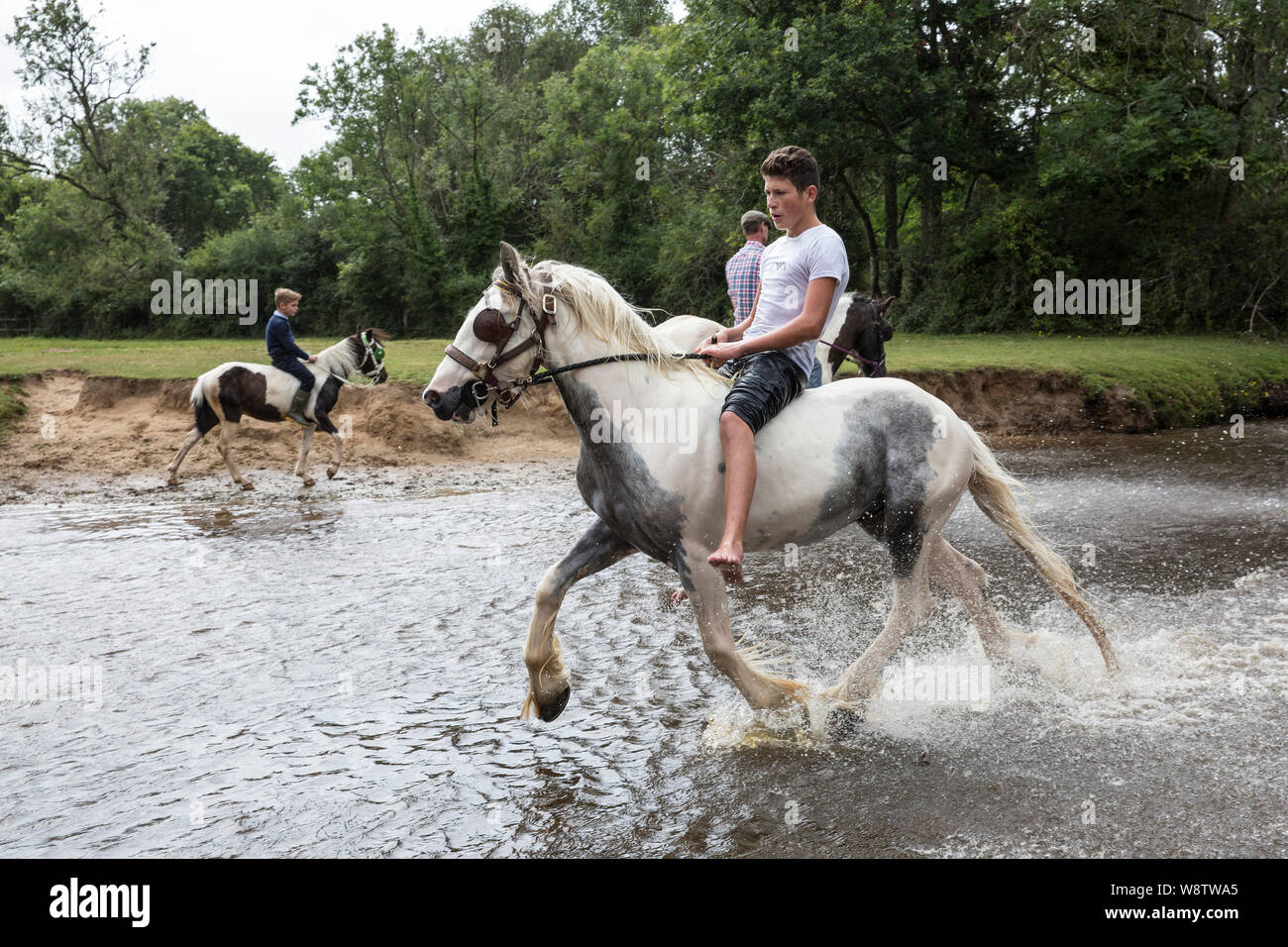 Romani Gypsy viaggiatori incontrarsi per un annuale ottenere insieme nella nuova foresta. Comunità di viaggio carrello racers a Brockenhurst, Hampshire, Inghilterra, Regno Unito Foto Stock