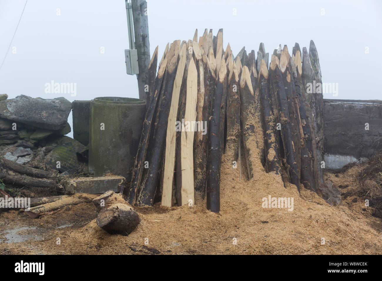 Sbozzati posti su una fattoria vicino al villaggio di La Espina lungo il Camino Primitivo. Questo impopolare percorso del Camino de Santiago pellegrinaggio eseguire Foto Stock