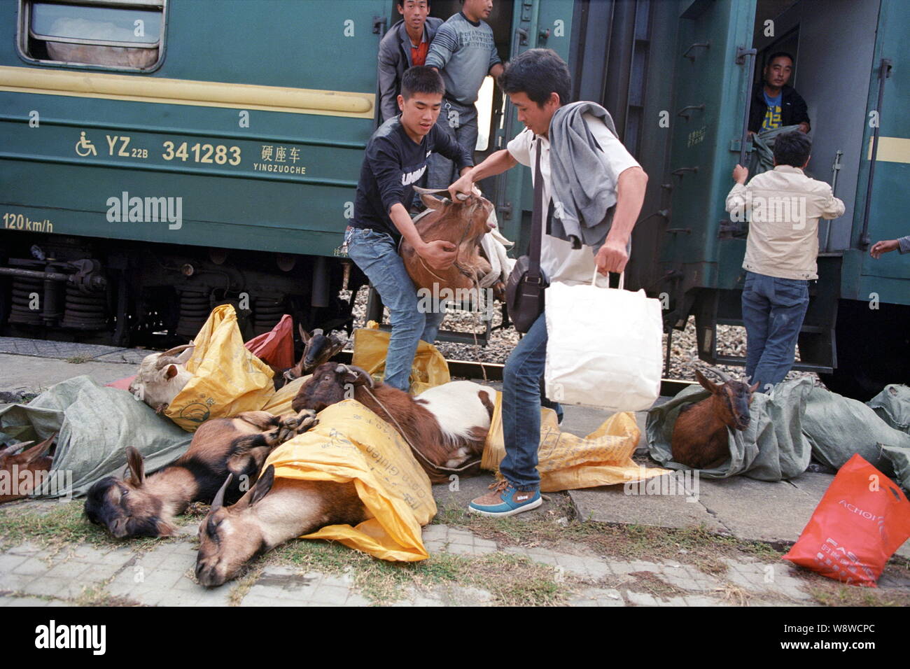 --FILE--passeggeri scaricare i loro greggi di capre da un 'verde-pelle " viaggio in treno da Xinhuang a Yiyang al Hengyangshan Stazione Ferroviaria sulla Hukun (S Foto Stock