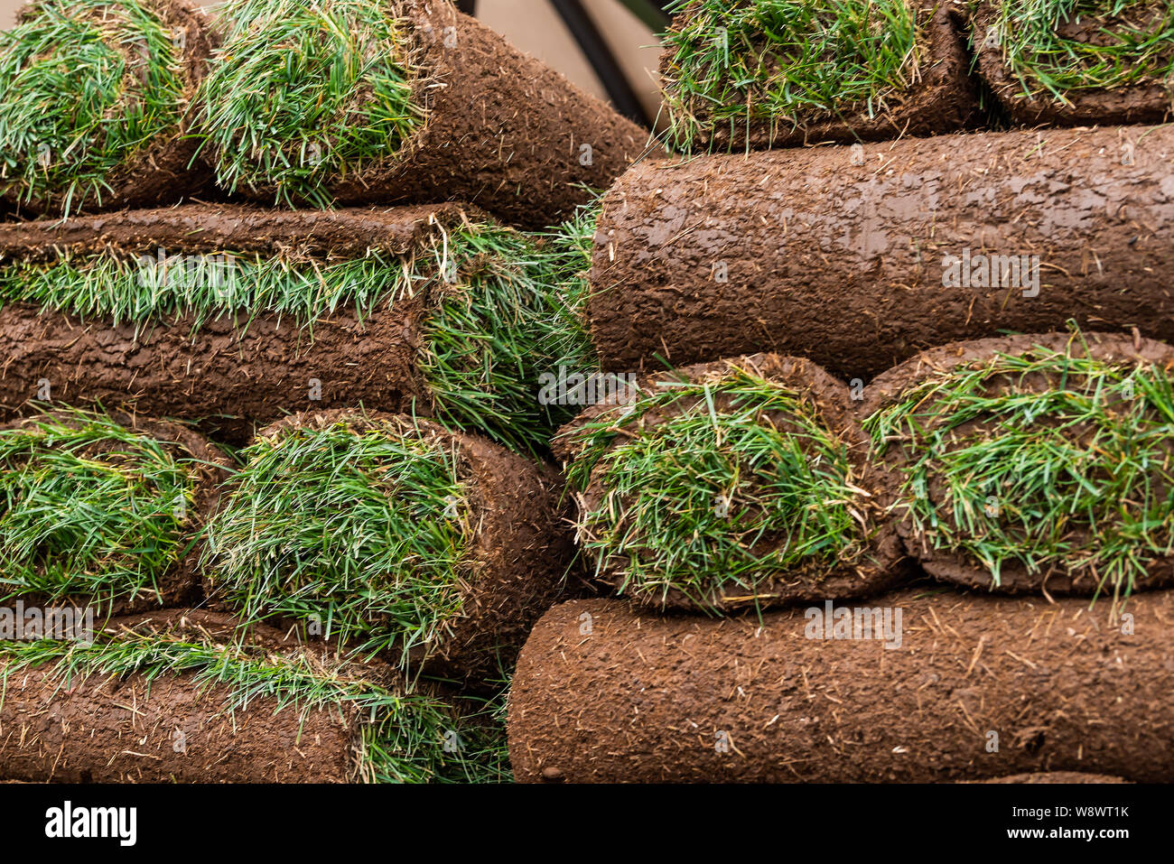 Primo piano di erba tappeti tappeti sul carrello con i colori verde e marrone pattern in Colorado Foto Stock