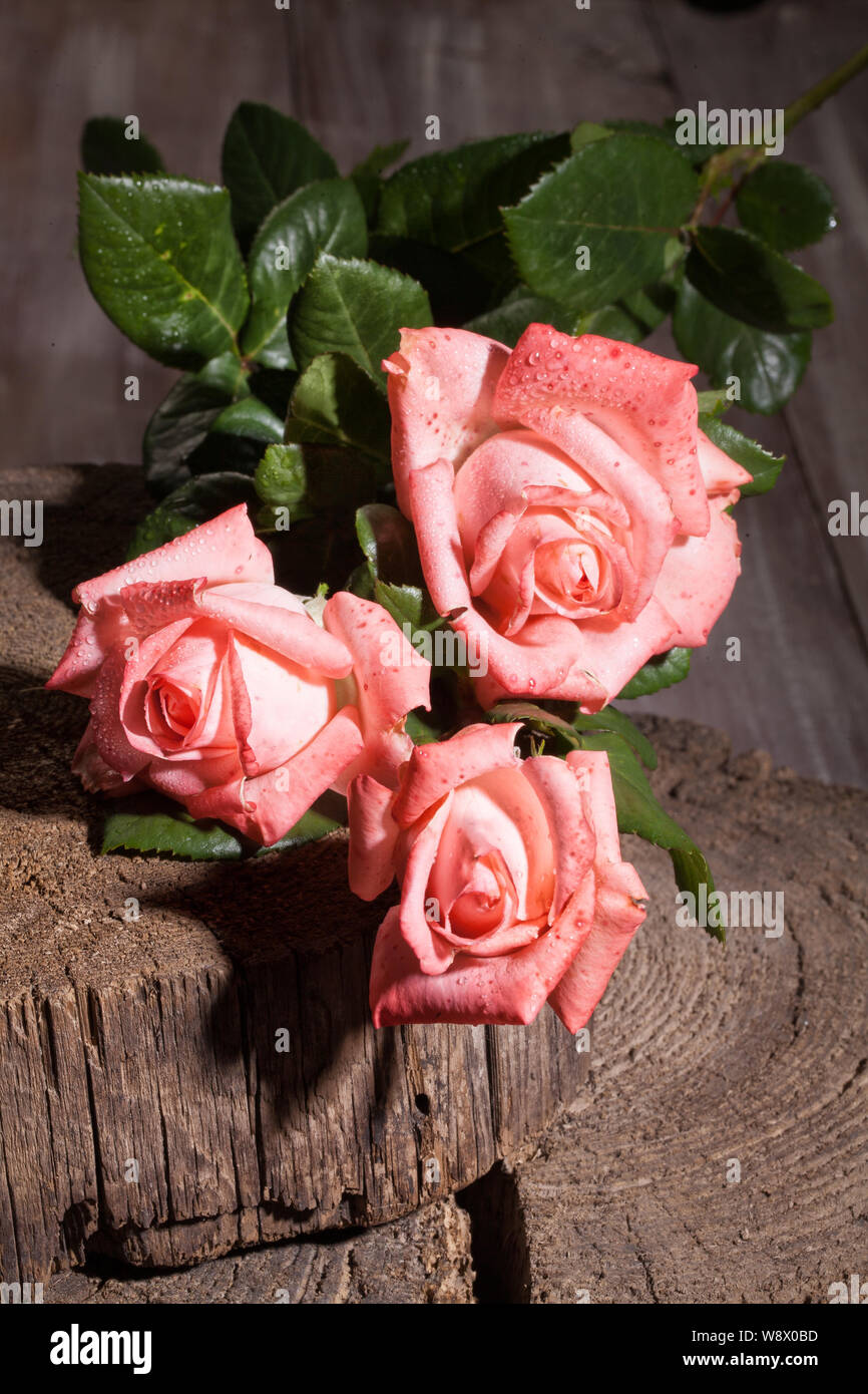 Bouquet di rose rosa su un vecchio sfondo di legno Foto Stock
