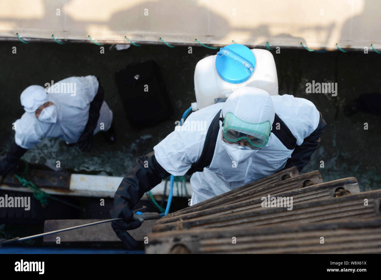 Una quarantena cinese lavoratore indossando indumenti protettivi si arrampica sulla nave che trasporta merci alla rinfusa alfa amicizia il trasporto di minerali da Ebola-influenzato la Sierra Leone a Foto Stock