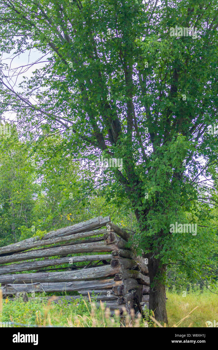 Che cosa è rimasto di questo log cabin è tra i pochi resti simile nella città fantasma di Newfoundout, Ontario, concesso in terreni agricoli per il pionieristico di impostare Foto Stock