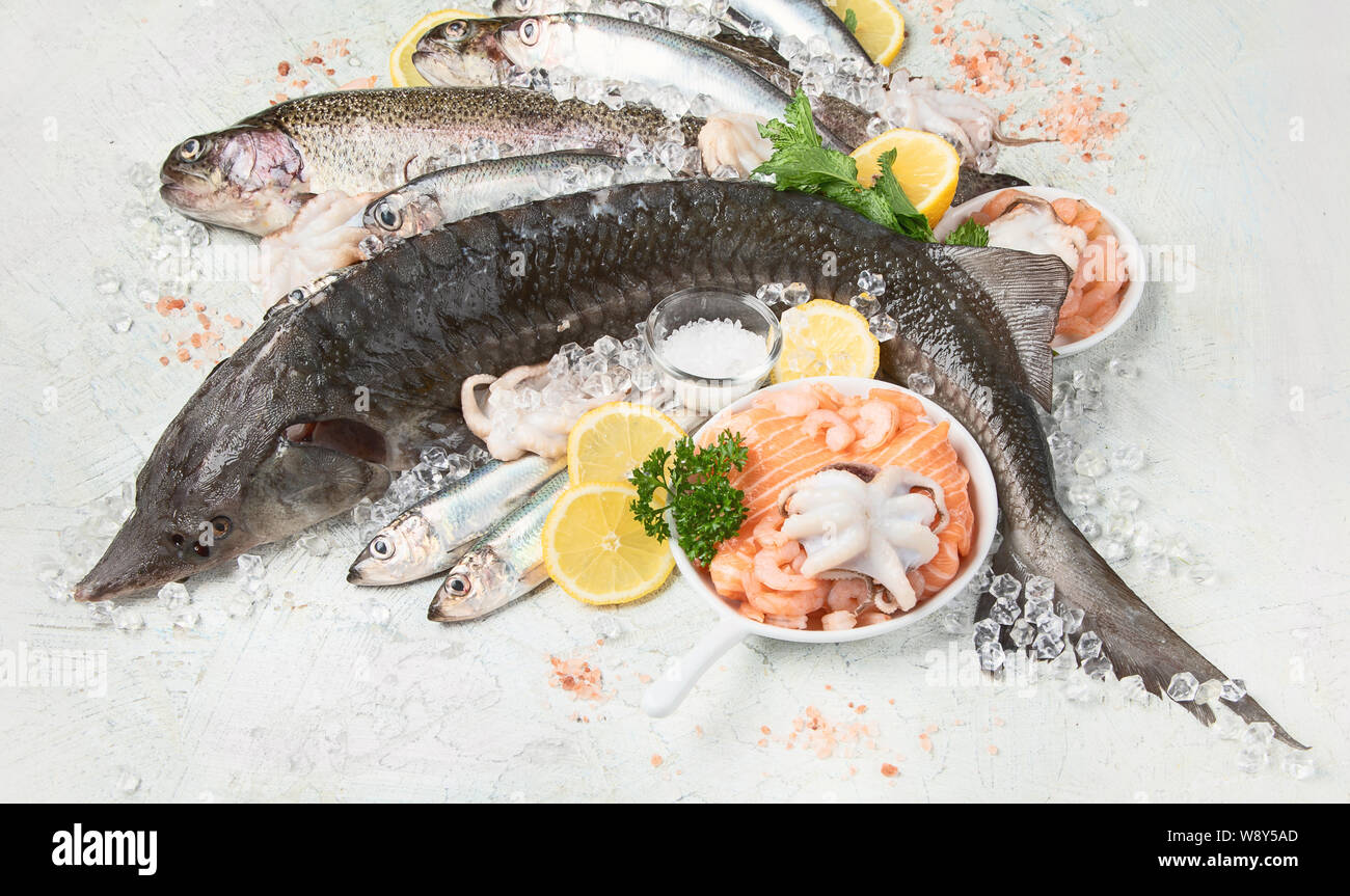Pesce fresco e frutti di mare su sfondo grigio. Vista superiore Foto Stock