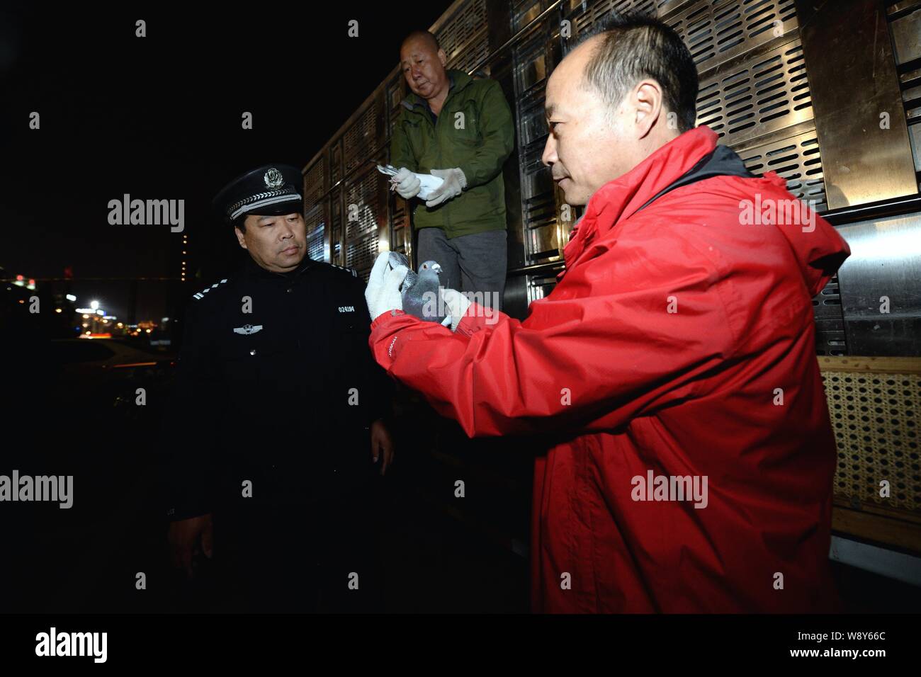 Lavoratori cinesi e funzionario di polizia verificare i piccioni a essere rilasciata sulla Piazza Tian'anmen per celebrare la Giornata Nazionale vacanze a Pechino, Cina, 30 S Foto Stock