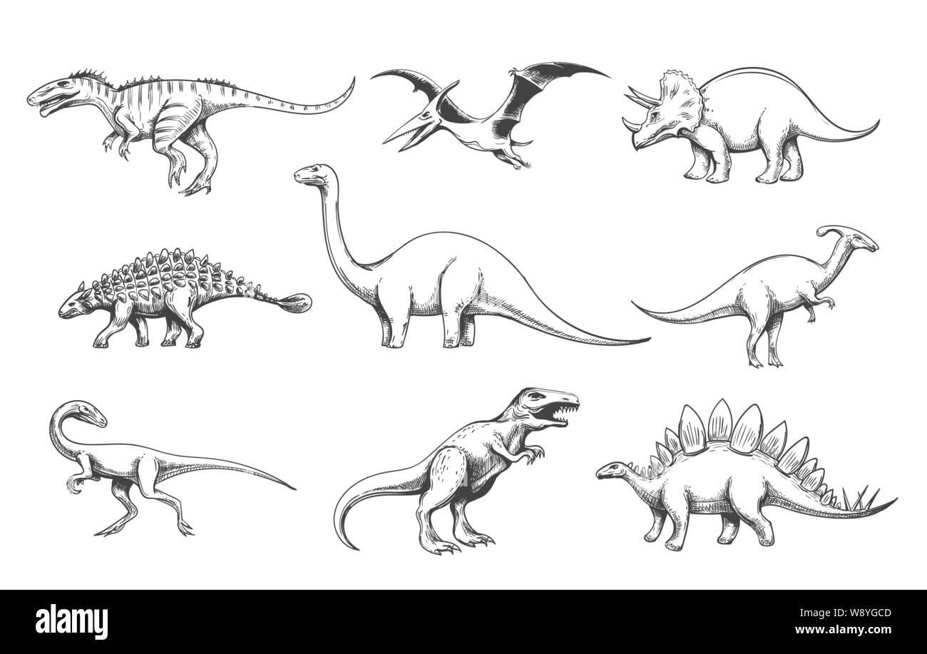 Predatori Dinoussaur impostato Illustrazione Vettoriale