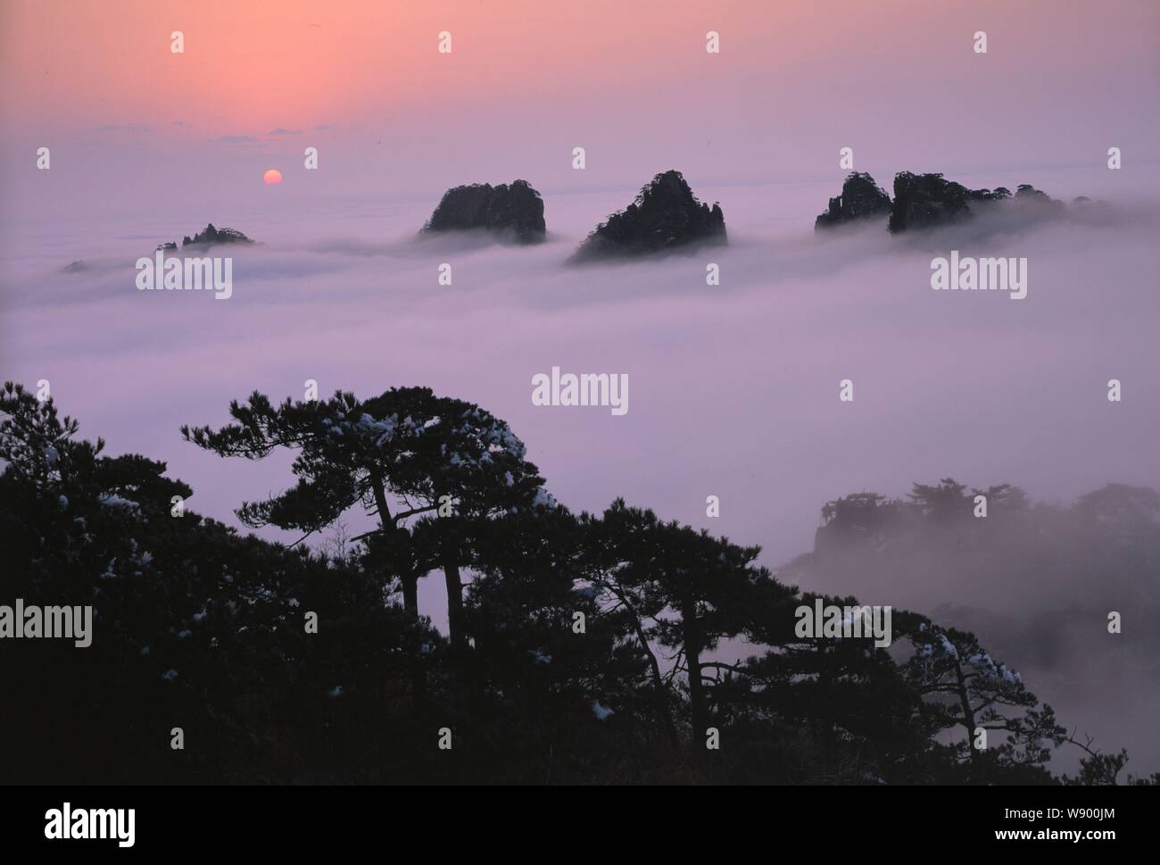 Paesaggio di mare di nubi in Monte Huangshan, nella città di Huangshan, est Chinas provincia di Anhui. Foto Stock