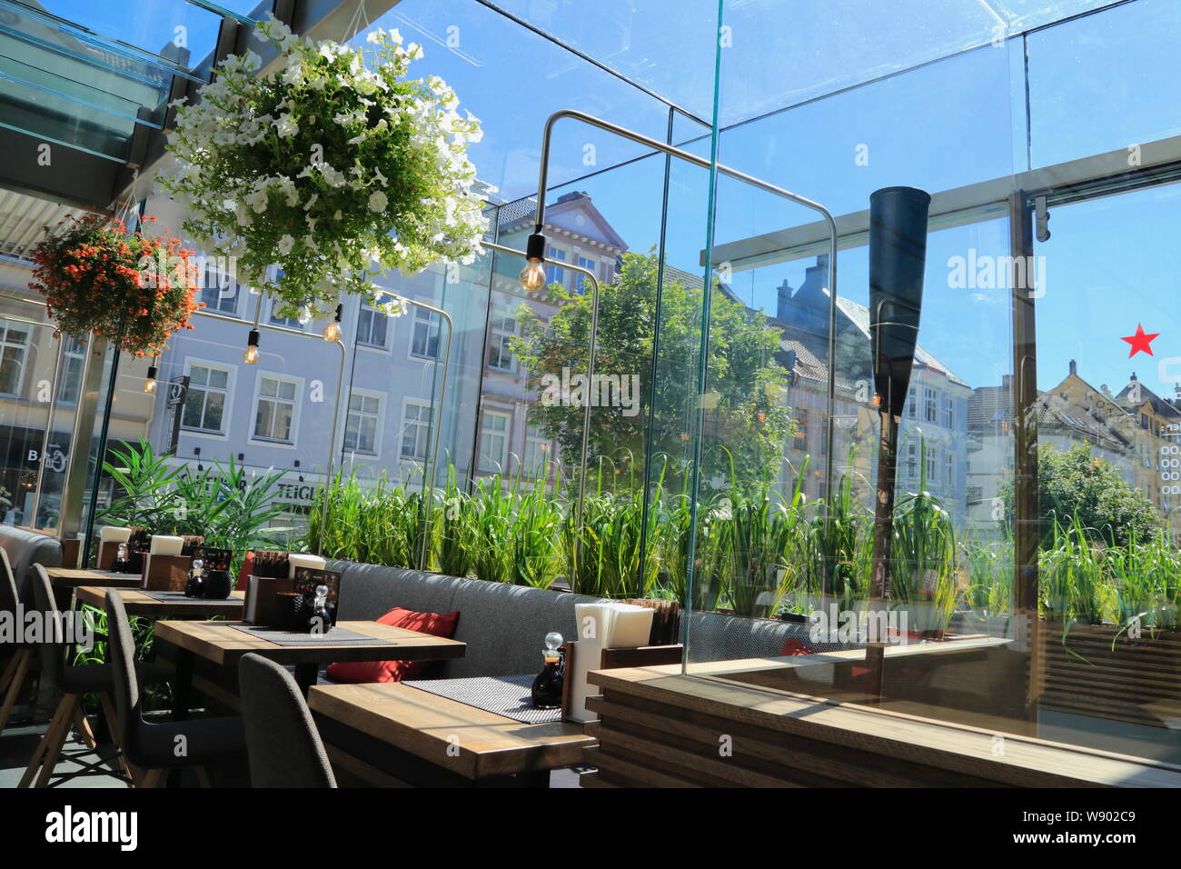 La sala Sun (conservatorio) area con biophilic design di Sumo Ristorante nella città di Bergen, Norvegia. Foto Stock