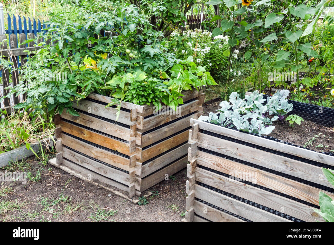 Due composter in legno situato nel retro del giardino da recinzione Foto Stock