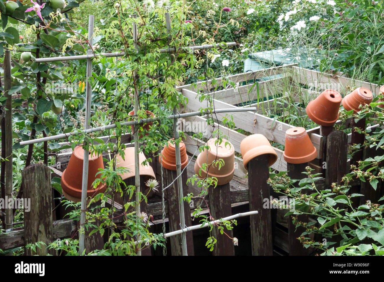 Composter in legno situato nella parte ricoperta del giardino Foto Stock