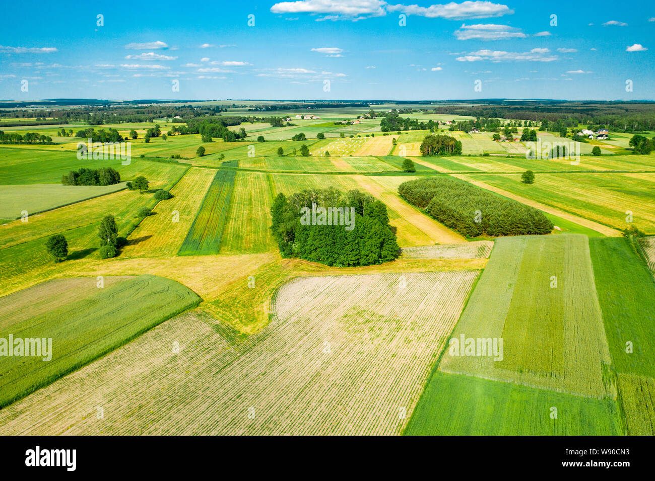 Campi verdi e alberi della campagna polacca tratto all'orizzonte sotto nuvole bianche e blu cielo Foto Stock