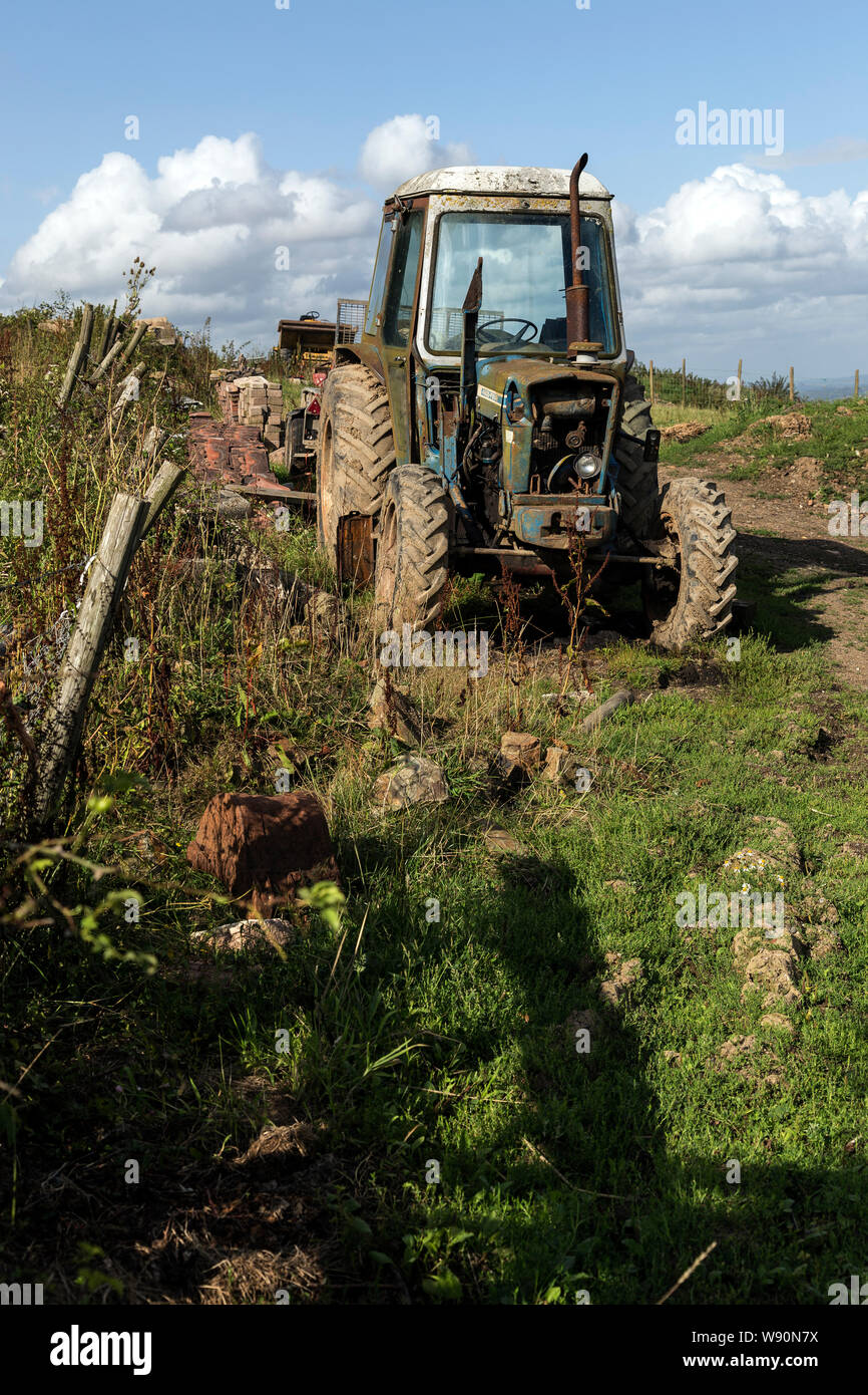 Agricoltura nel Devon, Regno Unito, bestiame bovino di caseificio, Dairy Farm, Devon, paesaggio - Paesaggio, prato, campo agricolo, mucche al pascolo, Sky, primavera, Foto Stock