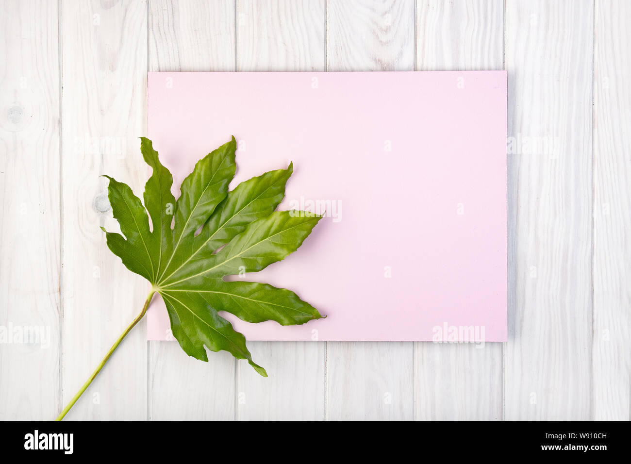 Piano di composizione dei laici con scheda di colore rosa e foglie verdi su bianco tavolo in legno. Spazio copia Mock up Foto Stock