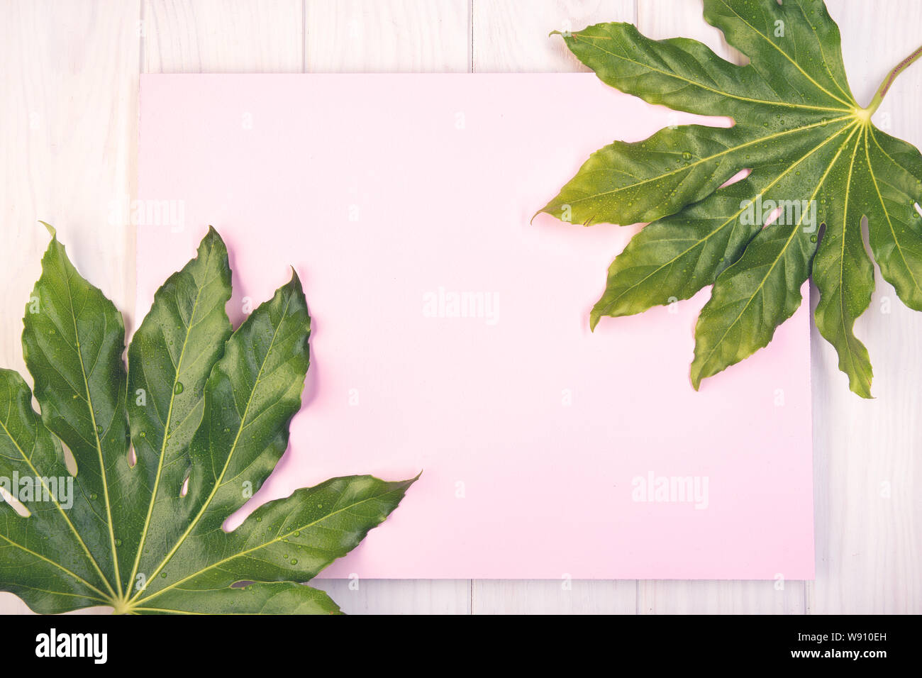 Piano di composizione dei laici con scheda di colore rosa e foglie verdi su bianco tavolo in legno. Spazio copia Mock up Foto Stock