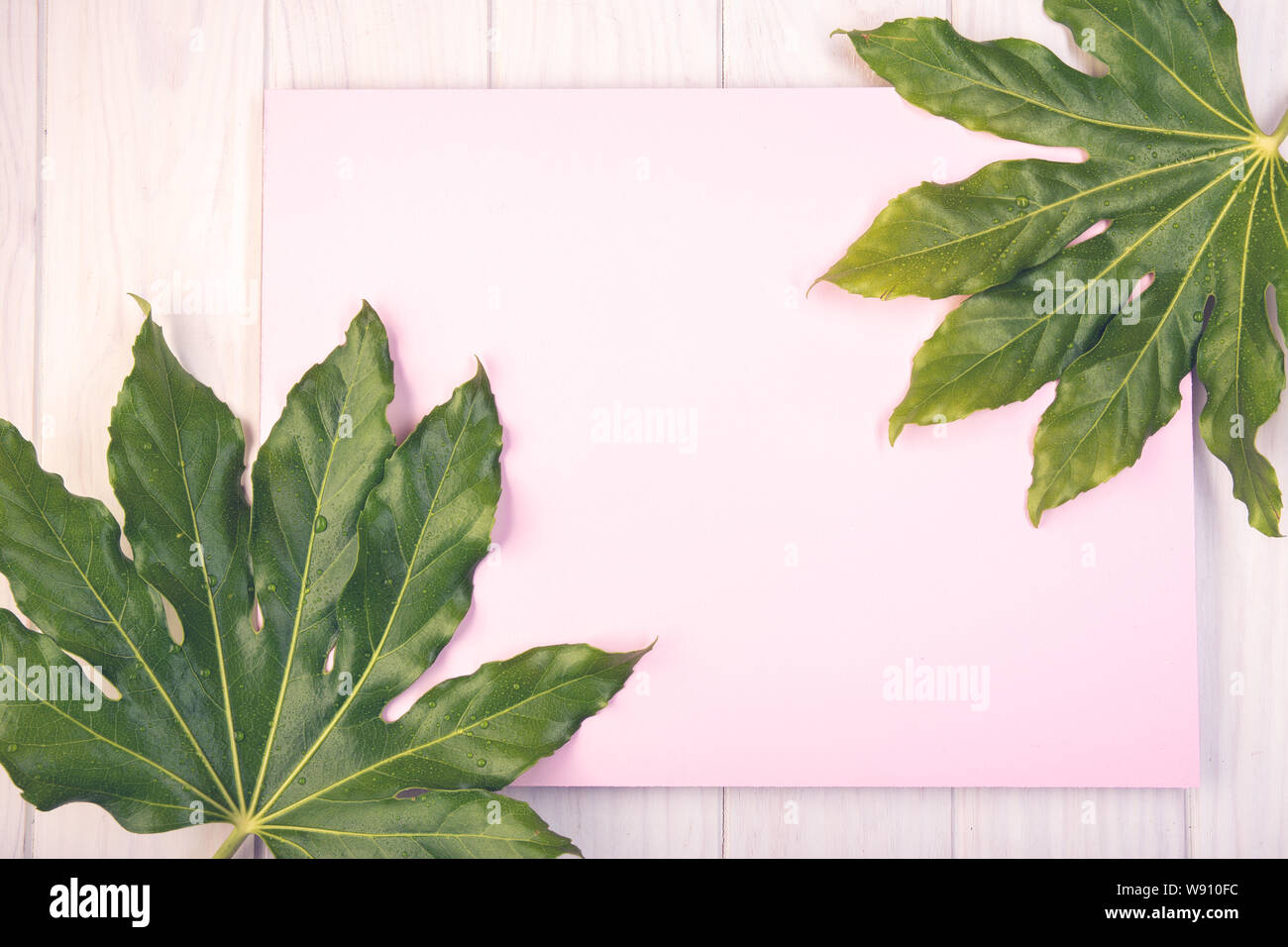 Piano di composizione dei laici con scheda di colore rosa e foglie verdi su bianco tavolo in legno. Spazio copia Mock up Foto Stock