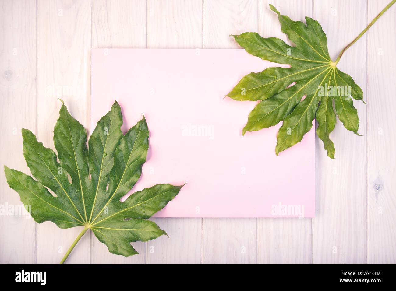 Piano di composizione dei laici con scheda di colore rosa e foglie verdi su bianco tavolo in legno. Spazio copia Mock up Foto Stock