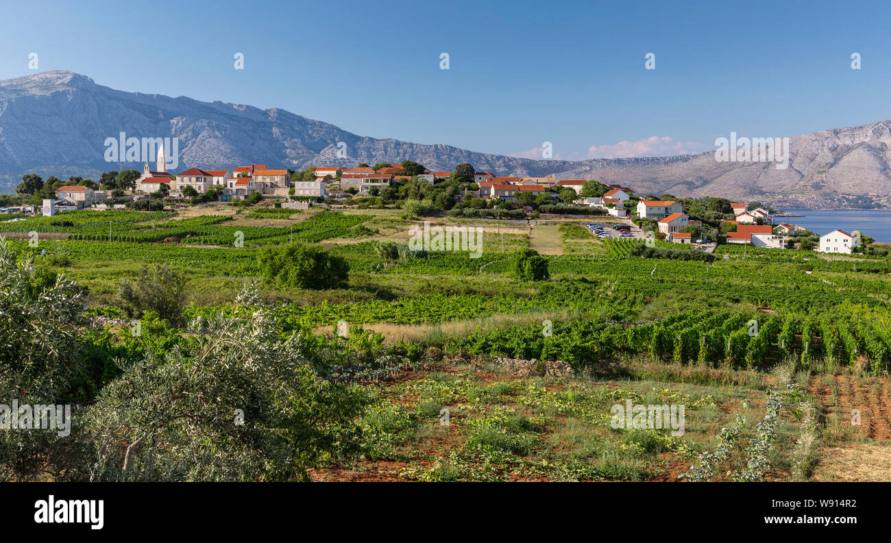 Lumbarda città vecchia sulla collina. Colline della penisola di Sabbioncello nel retro Foto Stock