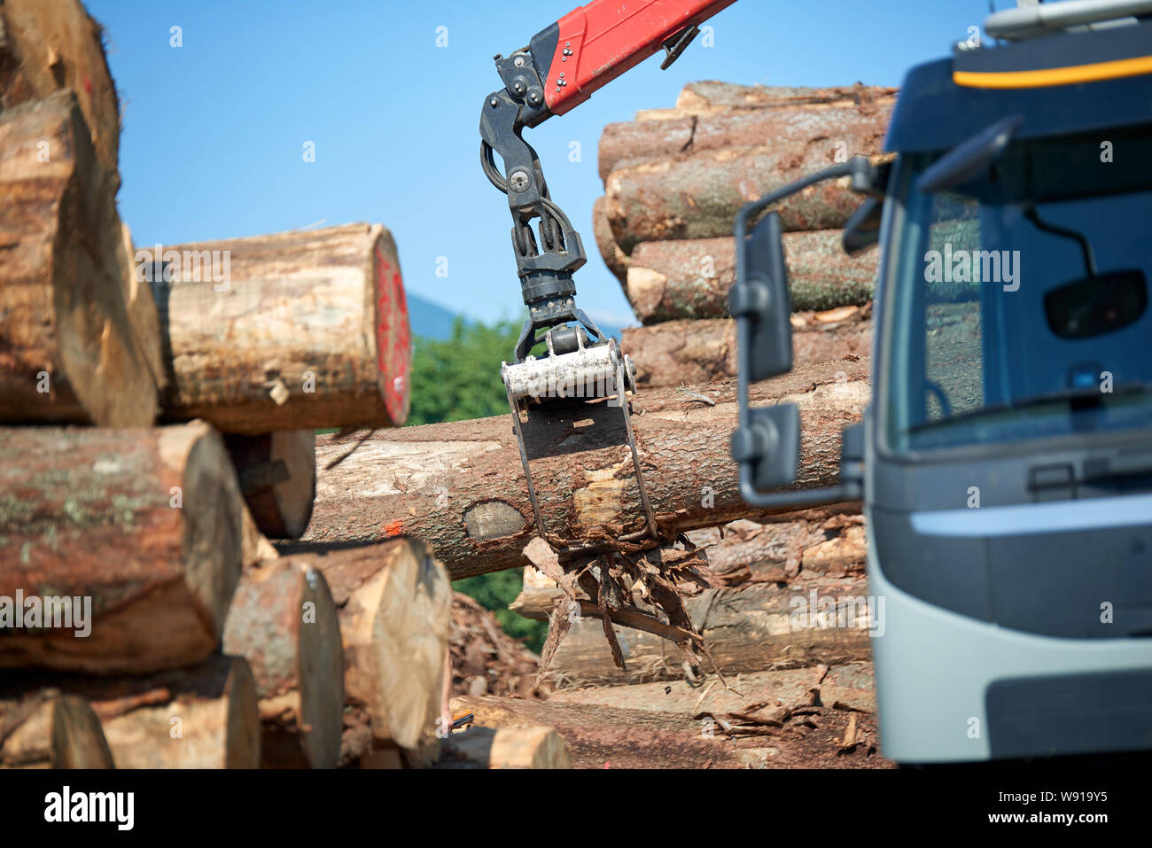 Il sollevamento di carichi pesanti con gru tagliare tronchi di legno Foto Stock