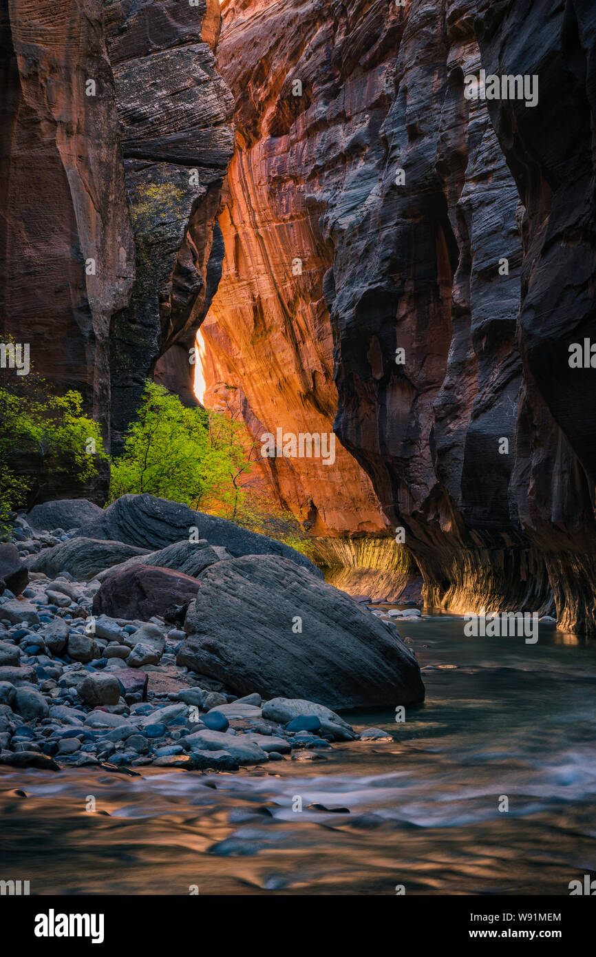 Sion si restringe, fiume vergine, Parco Nazionale Zion, Utah Foto Stock
