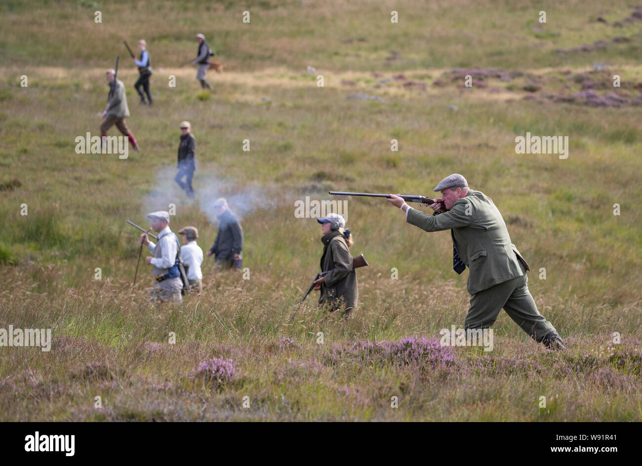 Robin Leslie-Melville, un membro di un partito di scatto su Mori a Rottal Estate in Glen Clova, vicino a Kirriemuir, Angus, prende un colpo sulla gloriosa dodicesimo, l'inizio della Caccia al gallo cedrone stagione. Foto Stock