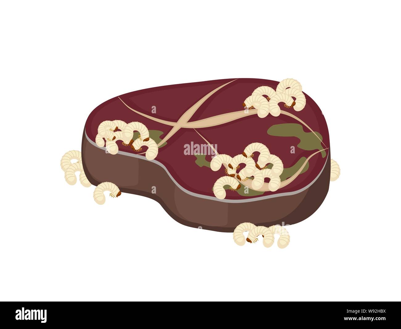 Carne di marcio e worm. Carne e vermi. illustrazione vettoriale Illustrazione Vettoriale