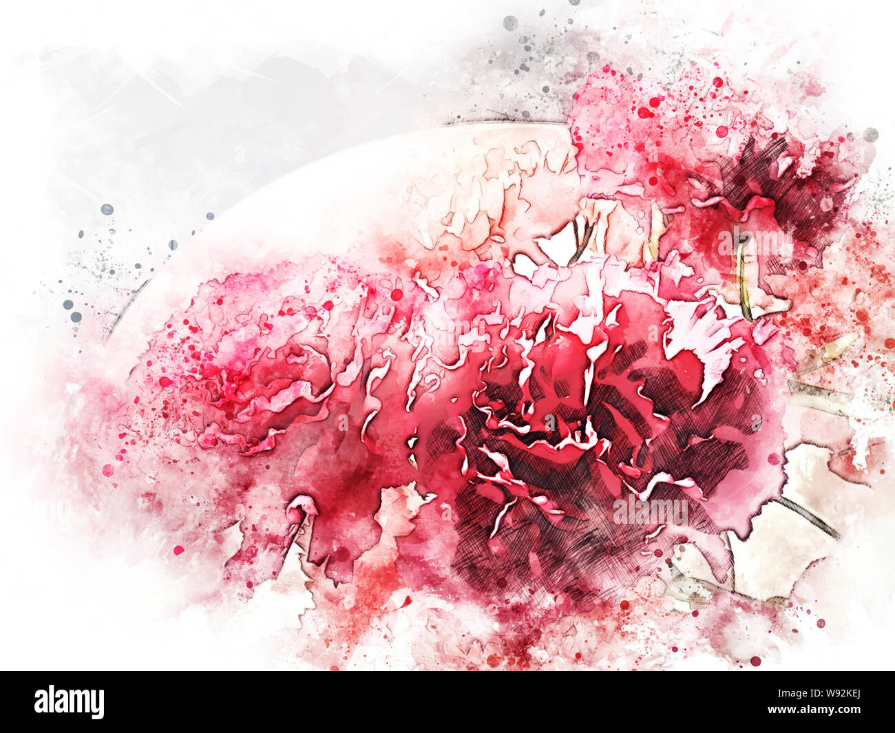 Abstract rosso forma colorata sul fiore che sboccia acquerelli Pittura illustrazione dello sfondo. Foto Stock