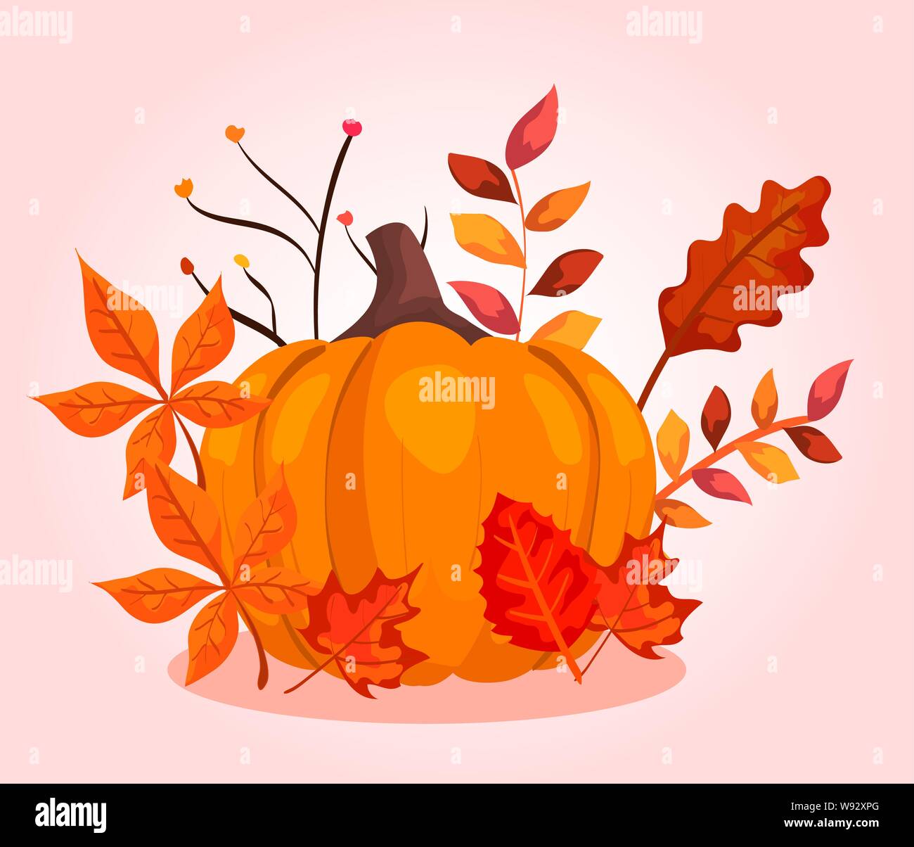 La zucca con rami di bellezza le foglie delle piante Illustrazione Vettoriale