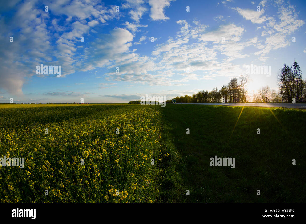 I campi, autostrada e tramonto cielo blu, giornata soleggiata, Bielorussia Foto Stock