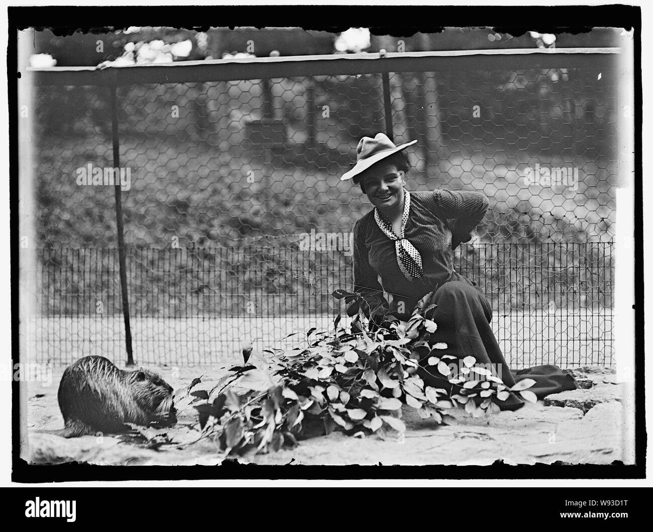 ADAMS, MRS. FRANKLIN, NEE HARRIET CHALMERS ALLO ZOO Foto Stock