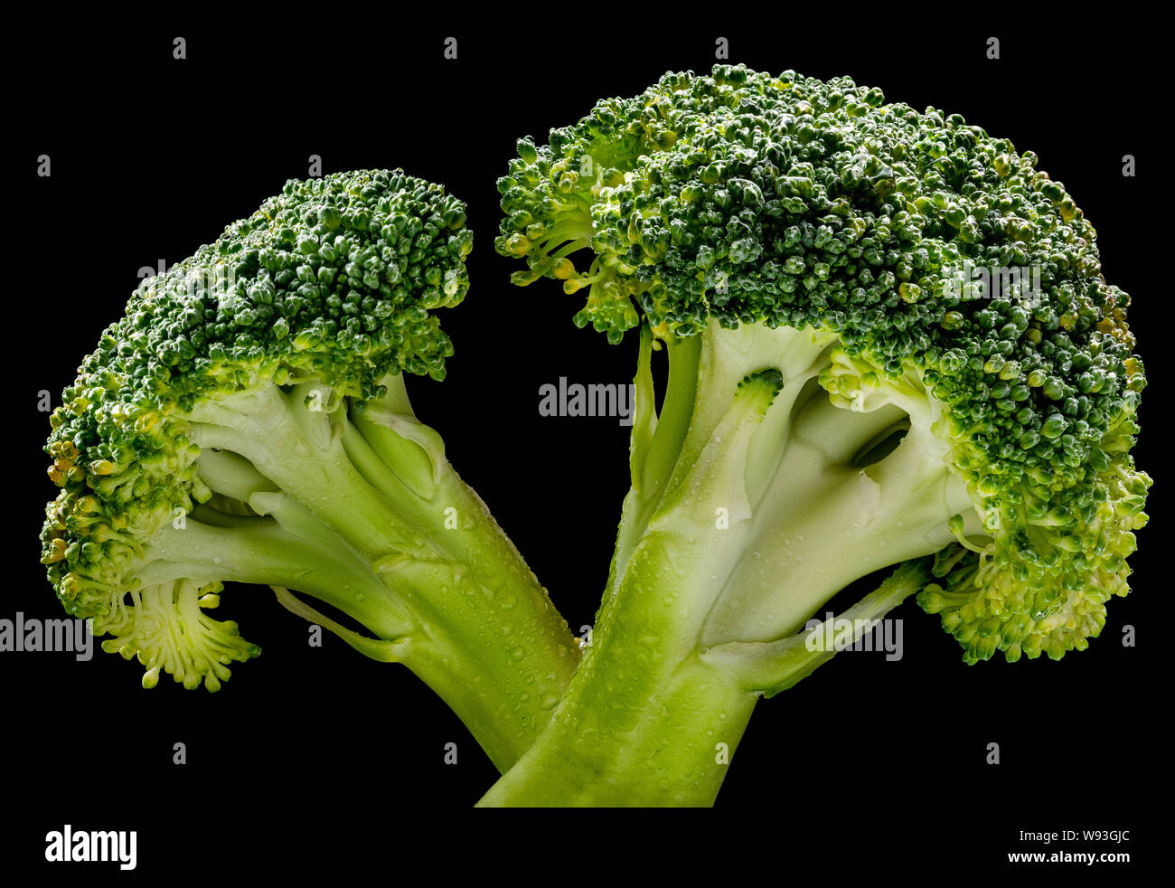 Broccoli isolata su uno sfondo nero, retroilluminato, con molte goccioline di acqua Foto Stock