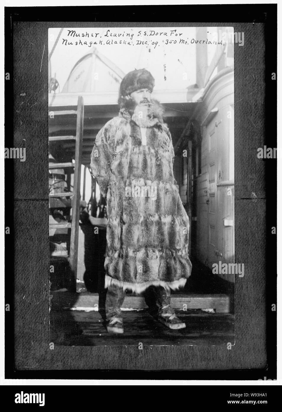 ALASKA MUSHER. Foto Stock