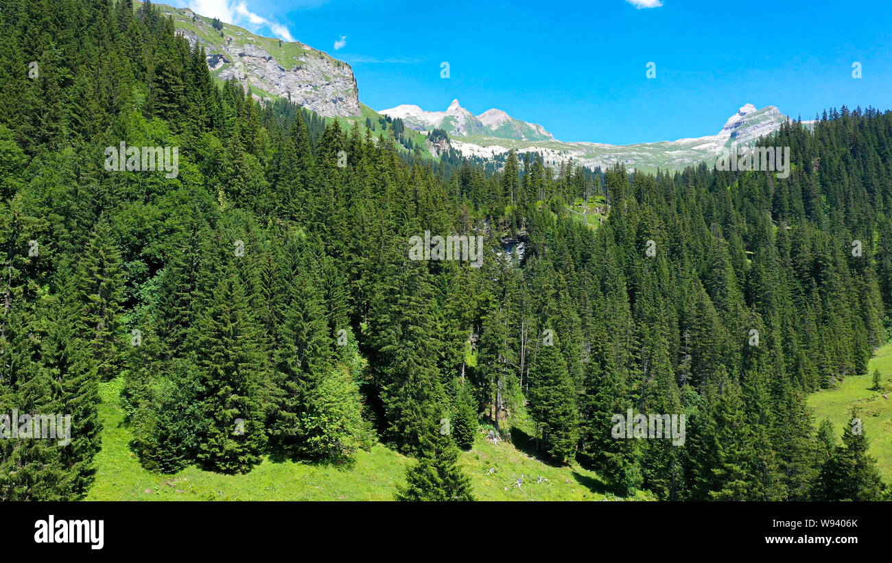 Bella la Svizzera dal di sopra - Alpi Svizzere - Fotografia aerea Foto Stock