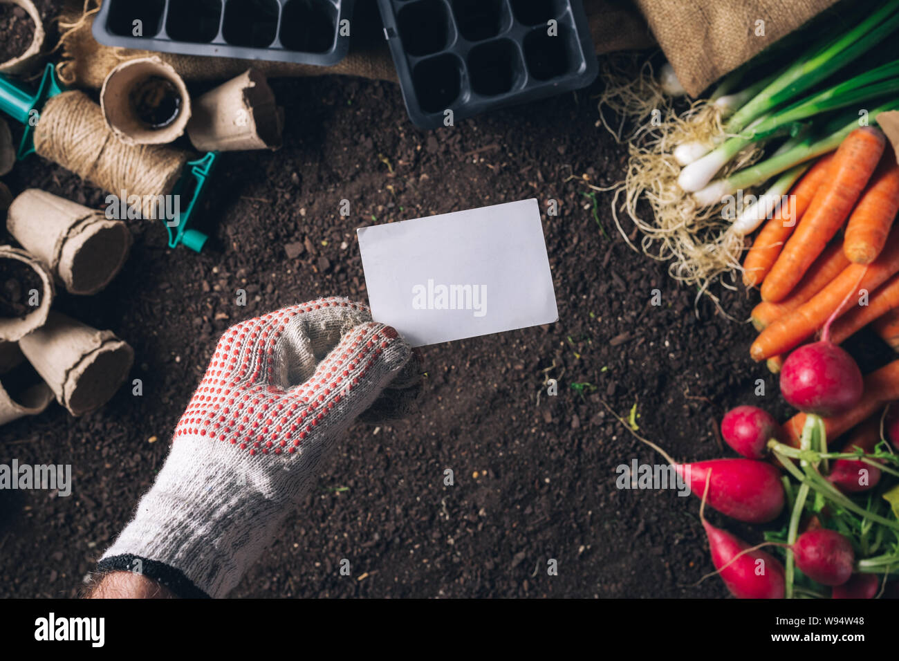 Business card mock up per organici homegrown produrre coltivazione, maschio giardiniere tenendo la scheda su raccolte di vegetali e attrezzature da giardinaggio Foto Stock