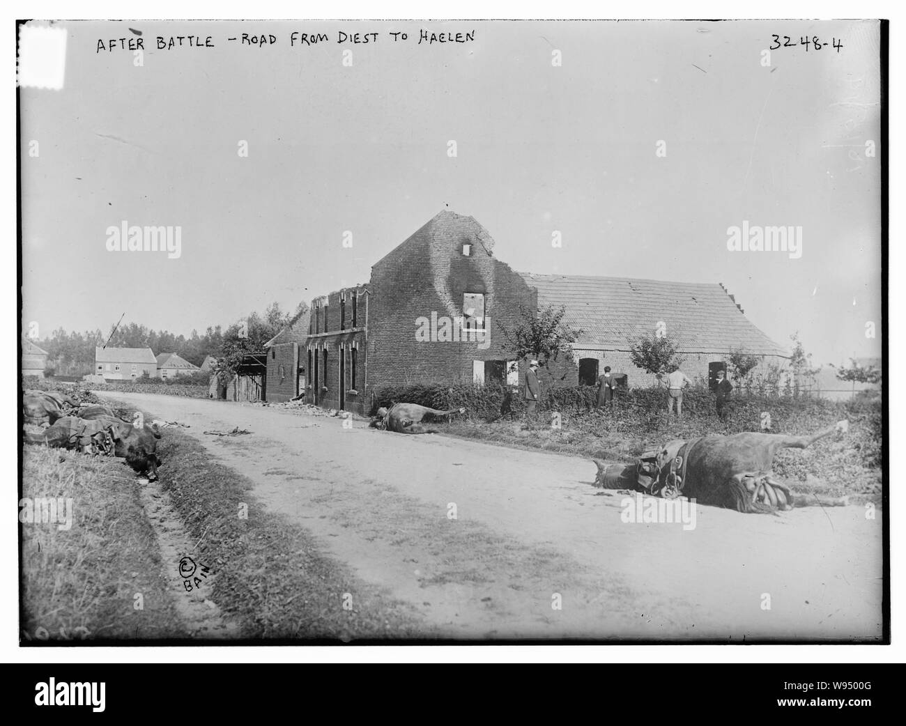 Dopo la battaglia -- strada da Diest a Haelen Foto Stock