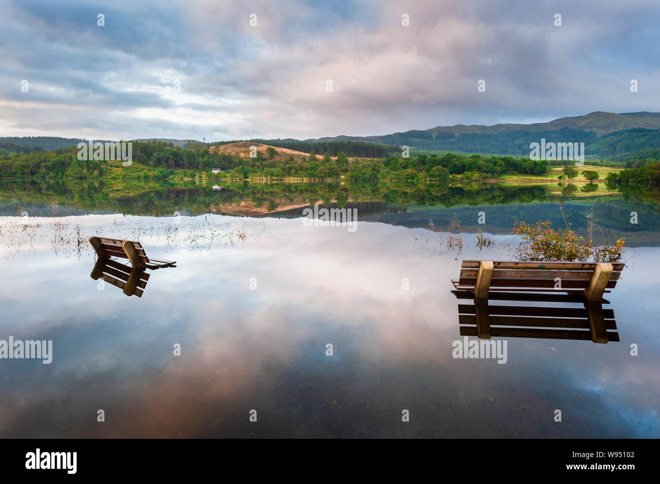 Panche sommerse in allagato Loch Achray nel Trossachs National Park in Scozia Foto Stock