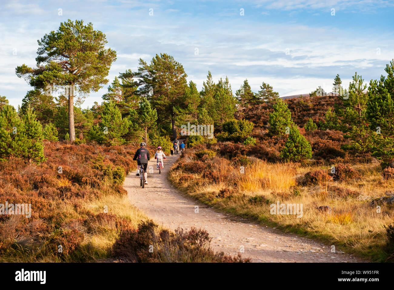 Vacanze in famiglia - Escursioni in bicicletta attraverso la foresta di Caledonian in Rothiemurchus area del Parco Nazionale di Cairngorms vicino a Aviemore in Scozia Foto Stock