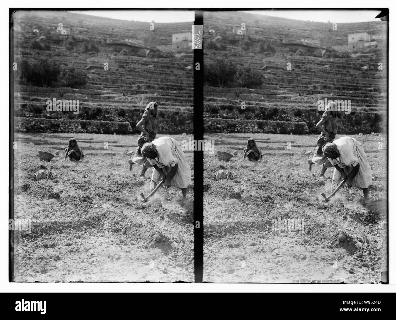 Agr. Cioè, l'agricoltura, il lavoro dei campi Foto Stock