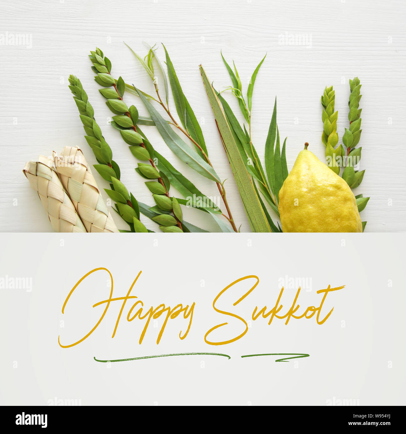 Festa ebraica di Sukkot. Simboli tradizionali (le quattro specie): Etrog, lulav, hadas, arava Foto Stock